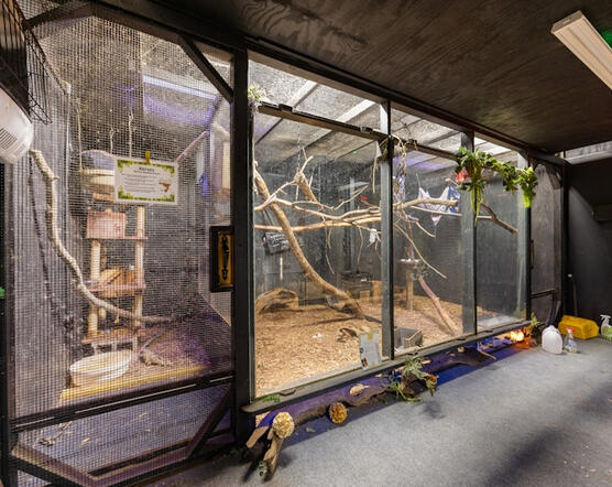 Animal Ed.Ventures animal sanctuary in Coats, NC