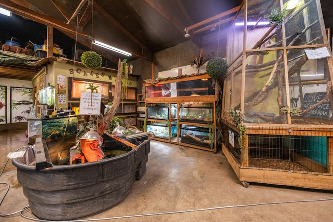 Animal Ed.Ventures animal sanctuary in Coats, NC