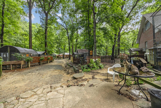 Animal Ed.Ventures animal sanctuary for sale in Coats, NC