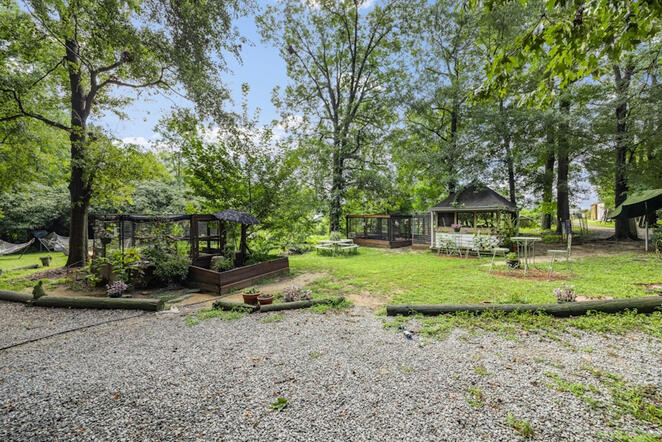 Animal Ed.Ventures beautiful trail