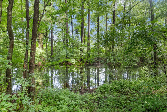 Animal Ed.Ventures animal sanctuary in Coats, NC