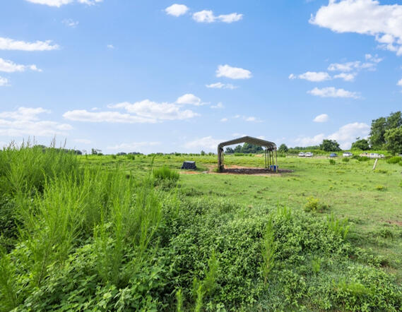 Animal Ed.Ventures animal sanctuary in Coats, NC