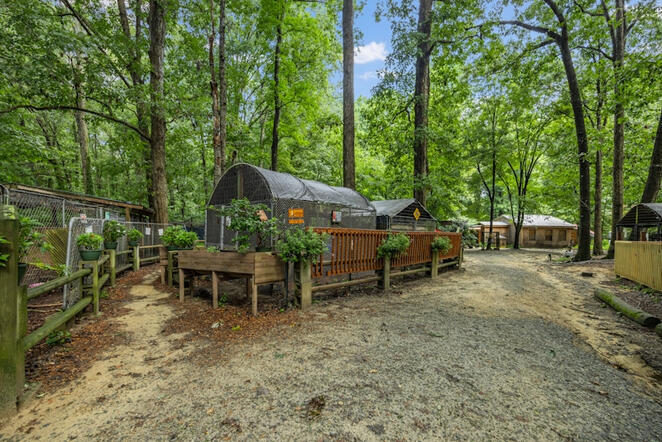 Animal Ed.Ventures animal sanctuary in Coats, NC