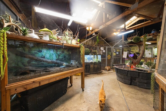 Animal Ed.Ventures animal sanctuary in Coats, NC