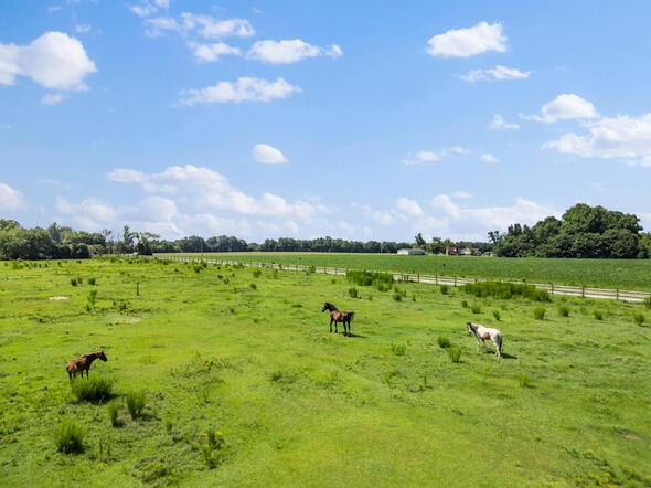 Animal Ed.Ventures animal sanctuary for sale in Coats, NC
