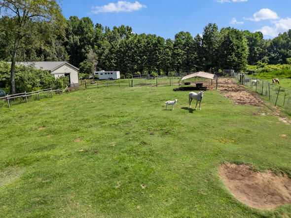 Animal Ed.Ventures animal sanctuary in Coats, NC