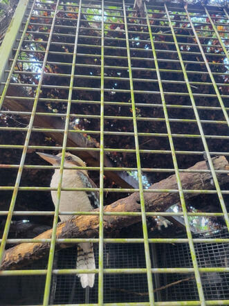 Animal Ed.Ventures animal sanctuary in Coats, NC